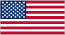 USA Flag